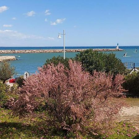 T3 Carnon, 1Ere Ligne 50M Plage Terrasse Parking Mauguio Eksteriør billede